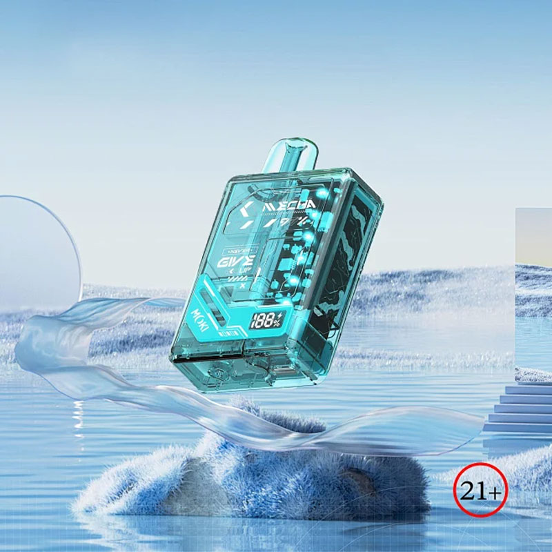 Exploring the Potential Cancer Risks Associated with E Cigarettes