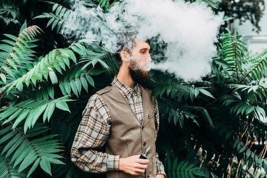 2025 Ultimate Guide to top e-cigarettes and how the ego e cigarette delivers flavor battery life and value