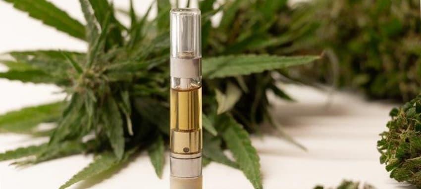 Best vape picks — compare vape devices and electronic cigarette with nicotine options for flavor battery life and safety