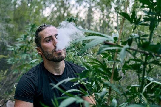 Online Vape Shop expert guide to copd and e cigarettes risks safer alternatives and advice